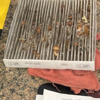 Jiffy Lube - cabin filter JL showed me! - Auto Repair Near Me - Woodbridge, New Jersey Jiffy Lube - cabin filter JL showed me! - Auto Repair Near Me - Woodbridge, New Jersey