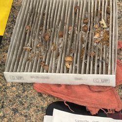 Jiffy Lube - cabin filter JL showed me!