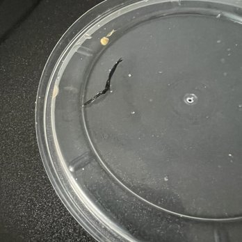 Tijuana Flats - Plastic from Tijuana Burrito - Mexican Near Me - Lutz, Florida