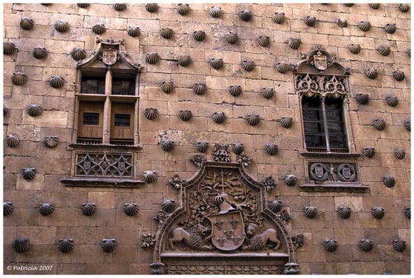 Public Library of Salamanca - Casa de las Conchas by null