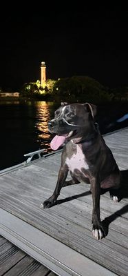 U-Tiki Beach at Jupiter Inlet Marina by null