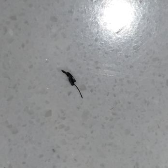 Sugar Blossom Lashes - glue they left on my natural lash. - Eyelash Service Near Me - Chino Hills, California Sugar Blossom Lashes - glue they left on my natural lash. - Eyelash Service Near Me - Chino Hills, California