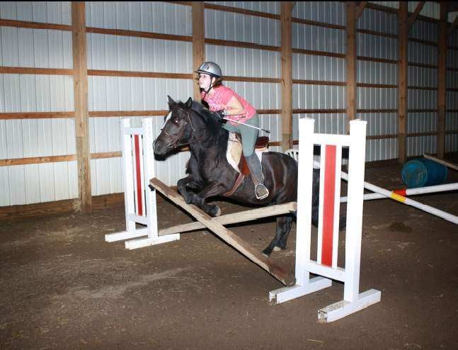 Taylor Turn Stable - equestrian in Indianapolis, IN