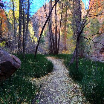 West Fork Trail - Idyllic part of the trail - Hiking Near Me - Sedona, Arizona