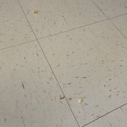 Arbrook Plaza Nursing & Rehabilitation Center - Dirty floor