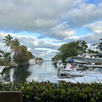 Buzzard's Roost Grill & Pub - Seafood Near Me - Key Largo, Florida Buzzard's Roost Grill & Pub - Seafood Near Me - Key Largo, Florida