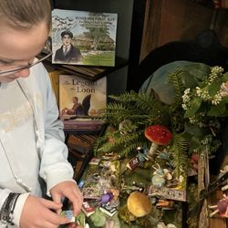 Round Lake Bookstore - Fairy Garden in the children's section