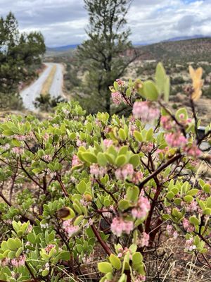 Red Rock State Park by null