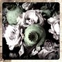 Photo of Flowerlife