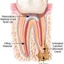 Photo of Scarsdale Endodontics