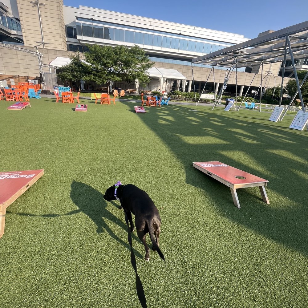 The Lawn On D - Venues & Event Spaces Near Me - Boston, Massachusetts The Lawn On D - Venues & Event Spaces Near Me - Boston, Massachusetts