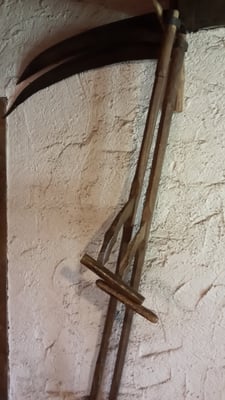 Black Forest Open Air Museum by null