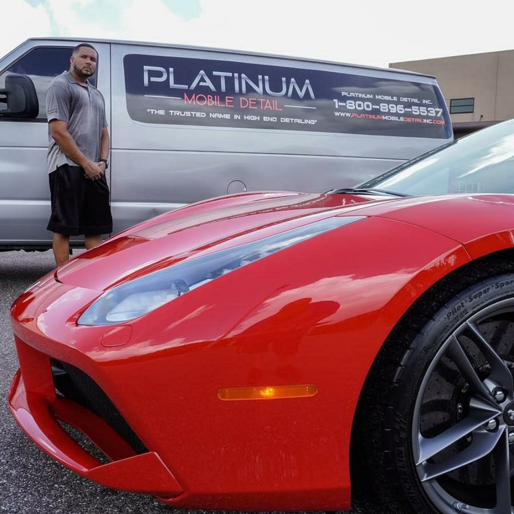 PLATINUM MOBILE DETAIL Updated August 2024 157 Photos 27418 Water Ash Dr, Wesley Chapel