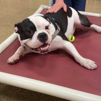 PetSmart - Pet Stores Near Me - Houston, Texas