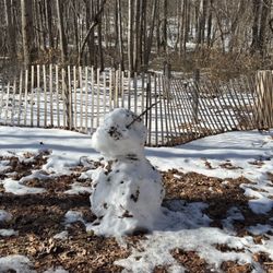 Rockburn Branch Park