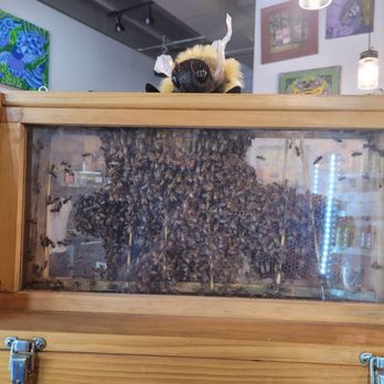 Hani Honey - Hani Honey has a beehive in their establishment. - Cafes Near Me - Stuart, Florida