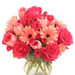 Wilbraham Flowers - TENDERNESS