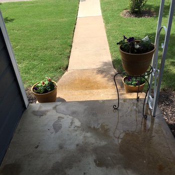 Emerald Lawns - One year later ZERO crab grass! - Tree Services Near Me - Round Rock, Texas Emerald Lawns - One year later ZERO crab grass! - Tree Services Near Me - Round Rock, Texas