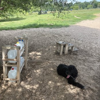 Rice Creek Off-Leash Dog Area - June 2026 - Dog Parks Near Me - Shoreview, Minnesota Rice Creek Off-Leash Dog Area - June 2026 - Dog Parks Near Me - Shoreview, Minnesota