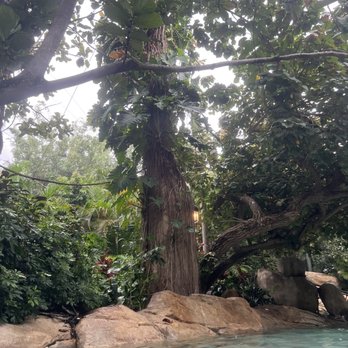 Discovery Cove - Amusement Parks Near Me - Orlando, Florida