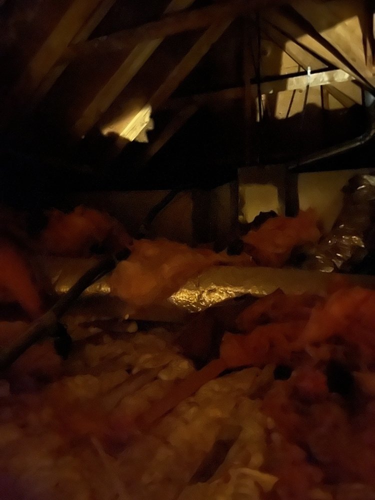 Slide of Armour Spray Foam