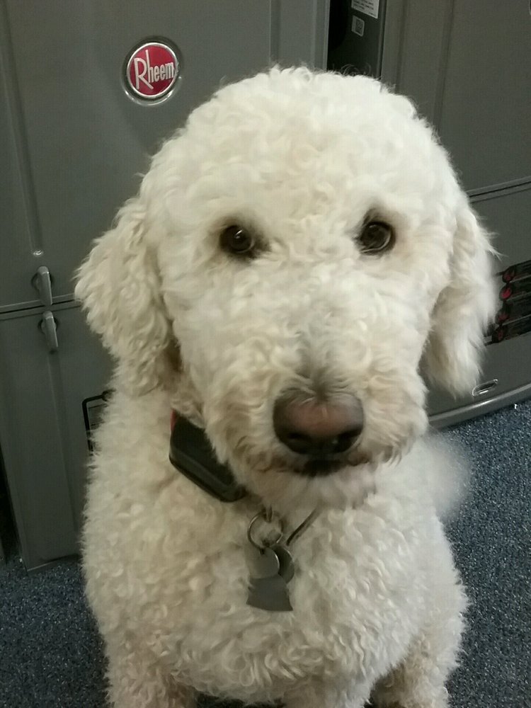 Slide of Paul's Plumbing & Appliance