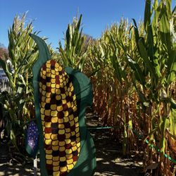 Jones Family Farm - Valley Farm