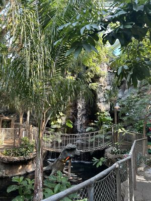 The Buffalo Zoo by null