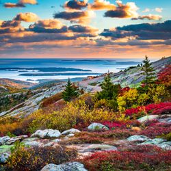 Scenic Acadia Tours
