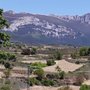 Photo of Berarte