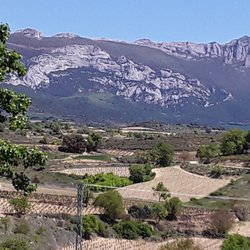 Berarte - View from veranda