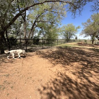 Phillips 66 Dog Park - Big dog side at Clinton Dog Park on route 66 - Dog Parks Near Me - Clinton, Oklahoma Phillips 66 Dog Park - Big dog side at Clinton Dog Park on route 66 - Dog Parks Near Me - Clinton, Oklahoma