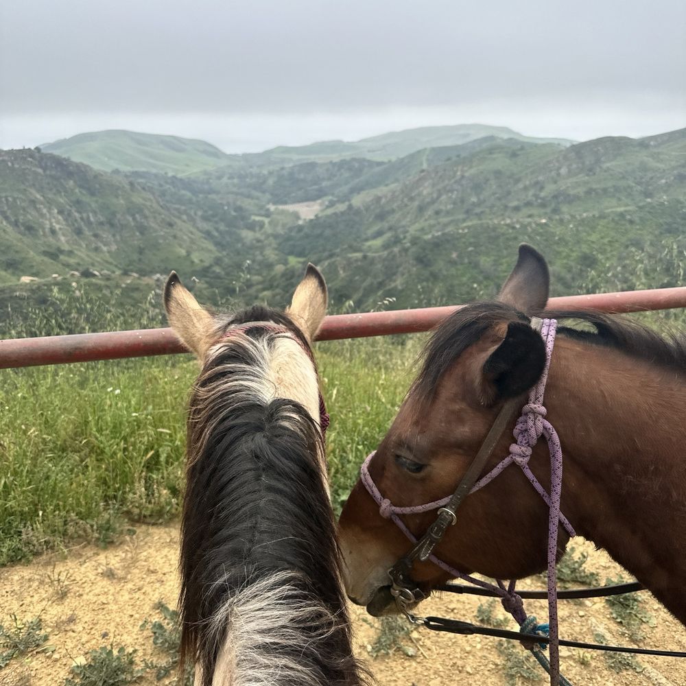 Circle Bar B Ranch - Horse, Mountain View - Bed & Breakfast Near Me - Goleta, California Circle Bar B Ranch - Horse, Mountain View - Bed & Breakfast Near Me - Goleta, California