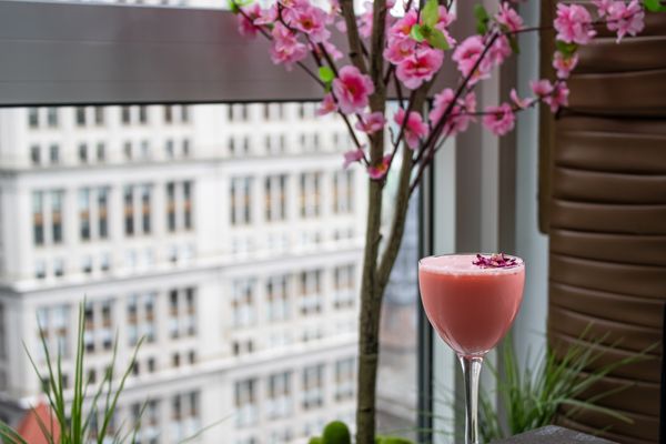 Hide Rooftop by null