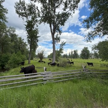 The Ranch at Rock Creek - Hotels Near Me - Philipsburg, Montana The Ranch at Rock Creek - Hotels Near Me - Philipsburg, Montana