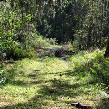 Tibet-Butler Preserve - Parks Near Me - Orlando, Florida Tibet-Butler Preserve - Parks Near Me - Orlando, Florida