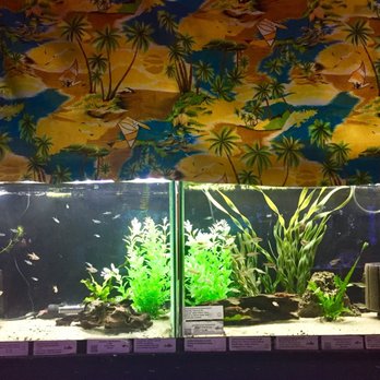 Big River Pets - Local Fish Stores Near Me - Richland, Washington