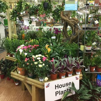 Hilltop Garden Centre - House Plants - Nurseries & Gardening Near Me - Coventry, XWM