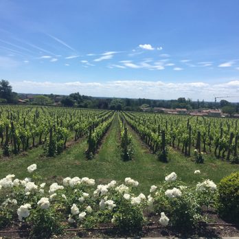 Château de la Dauphine - Castles Near Me - Fronsac, 33