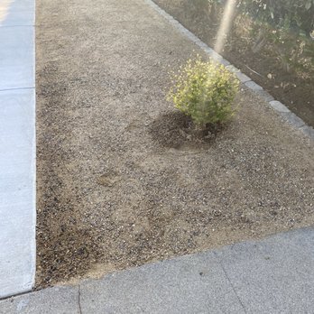 Low Rates Professional Contractor - Side work - Landscaping Near Me Low Rates Professional Contractor - Side work - Landscaping Near Me