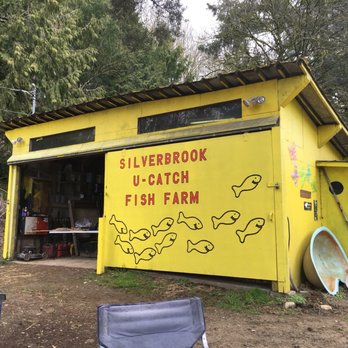 Silverbrook U-Catch Rainbow Trout - Fishing Near Me - Abbotsford, British Columbia Silverbrook U-Catch Rainbow Trout - Fishing Near Me - Abbotsford, British Columbia