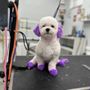 Photo of Paws & Rufflect
