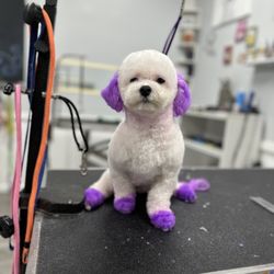Paws & Rufflect