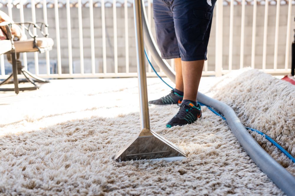 SD CARPET CARE Updated March 2024 125 Photos & 11 Reviews Burbank