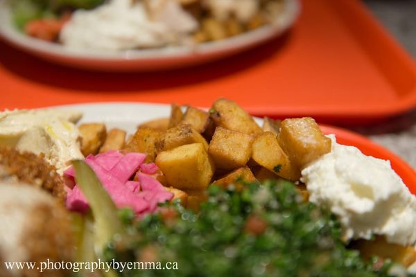 Shawarma Palace (Centretown) by null