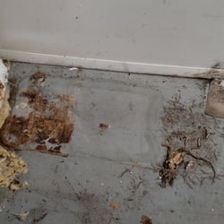 Edgewater Commercial Park - Rats in and under our boxes and totes in their storage facitlity.
