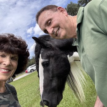 Gypsy Gold Horse Farm - Walking Tours Near Me - Ocala, Florida