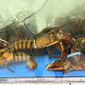 Ming Seafood Restaurant - Seafood Near Me - Quincy, Massachusetts Ming Seafood Restaurant - Seafood Near Me - Quincy, Massachusetts