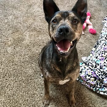 Tempe Feed - Pet Stores Near Me - Tempe, Arizona