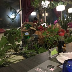 Magnolie Mulan